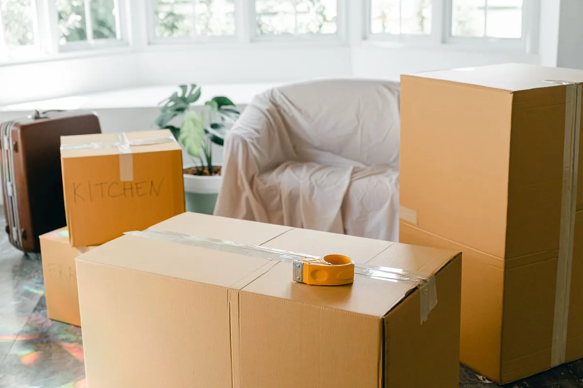 Hoarding Cleanup in Land O' Lakes, FL